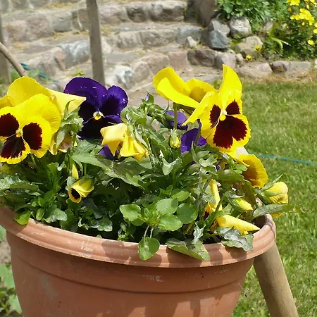 منزل للإقامة Ranczo Teresa Kozielska